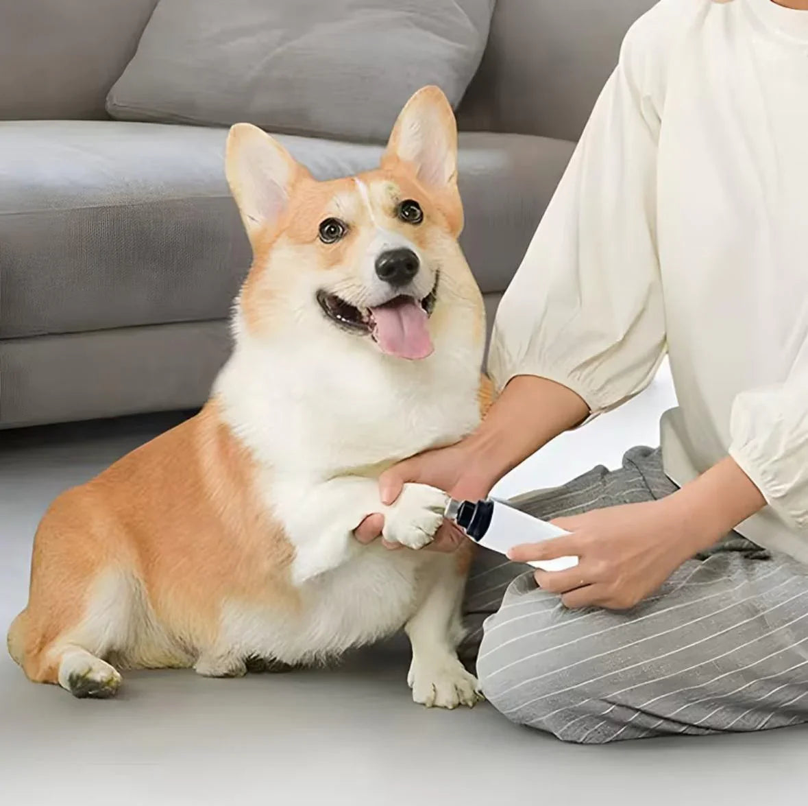 Cordless Pet Nail Grinder