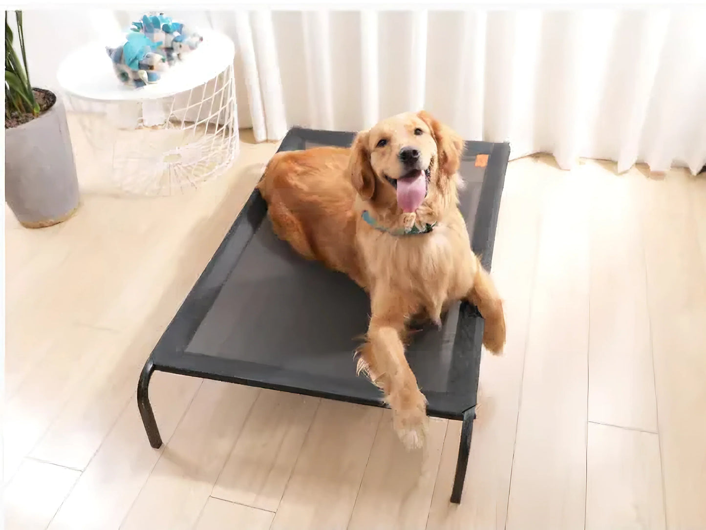 Comfy Wash Pet Bed